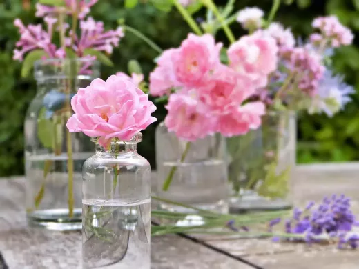 Which Women's Perfumes are Best for the Summer Months?