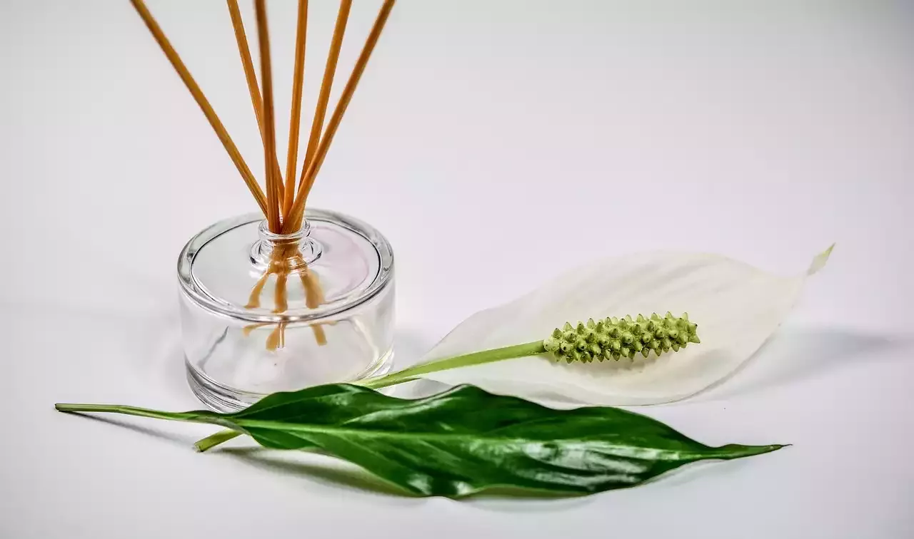 What's the Difference Between Sugaring and Waxing?