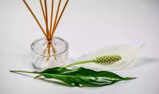 What's the Difference Between Sugaring and Waxing?